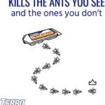 T300B Liquid Ant Killer, 12 Bait Stations