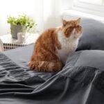 Queen Sheets Grey - Soft Sheets for Queen Size Bed, 4 Pieces Hotel Luxury Queen Sheet Set, Easy Care Polyester Microfiber Cooling Bed Sheet Set