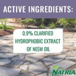 706250A Neem Oil Spray for Plants Pest Organic Disease Control, for Insects, 24-Ounce, Ready-To-Use
