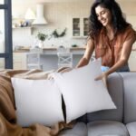 Throw Pillows Insert (Pack of 2, White) - 18 X 18 Inches Bed and Couch Pillows - Indoor Decorative Pillows