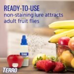 T2503SR Ready-To-Use Indoor Fruit Fly Killer and Trap with Built in Window - 4 Traps + 180 Day Lure Supply